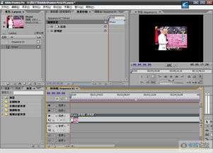 Adobe公司八款精品軟件深度整理